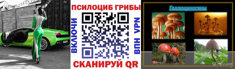 ссылка на мегу зеркало  где можно купить наркотик  площадка телеграм  Псилоцибиновые грибы Magic Shrooms  Сергач 